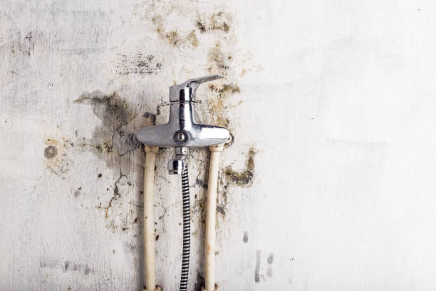 Best Mold Remediation for Schools in Seacliff, CA
