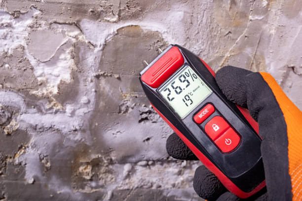 Best HVAC Mold Remediation in Seacliff, CA