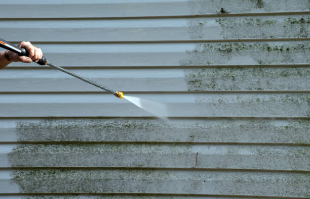 Best Residential Mold Remediation in Seacliff, CA