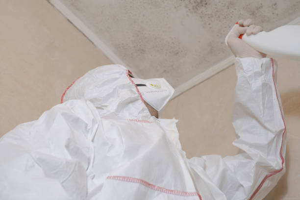 Best Bathroom Mold Remediation in Seacliff, CA